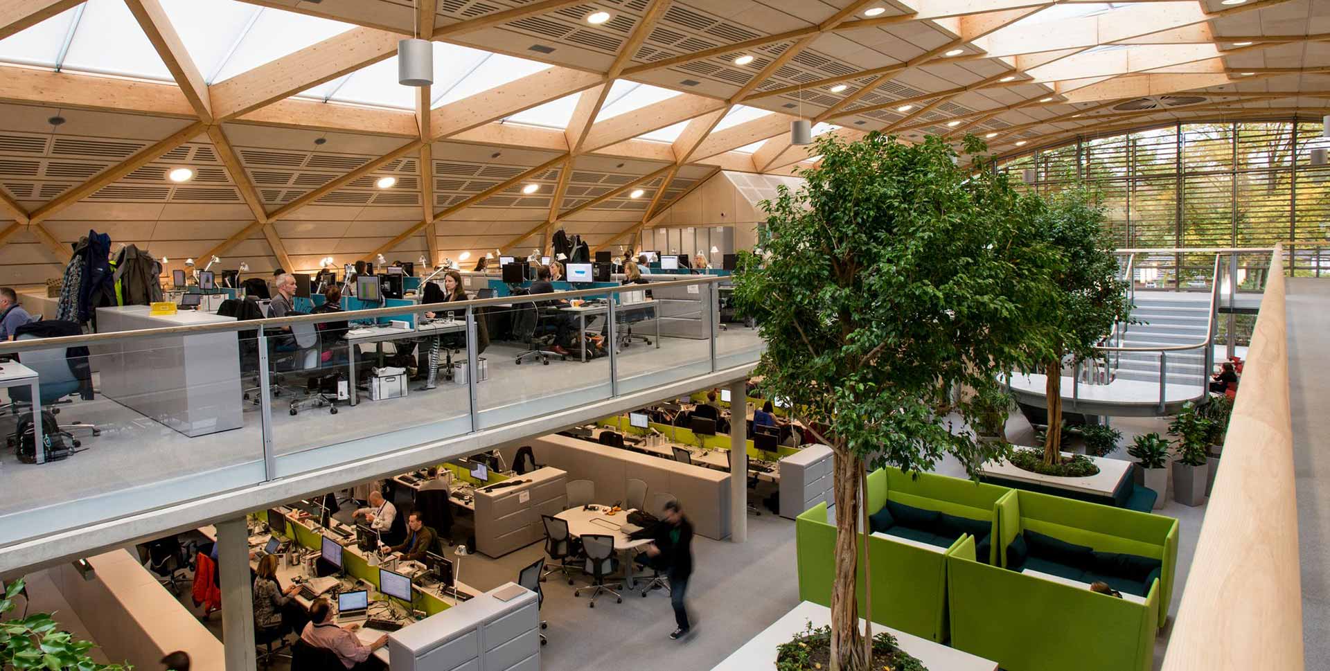 WWF's new office