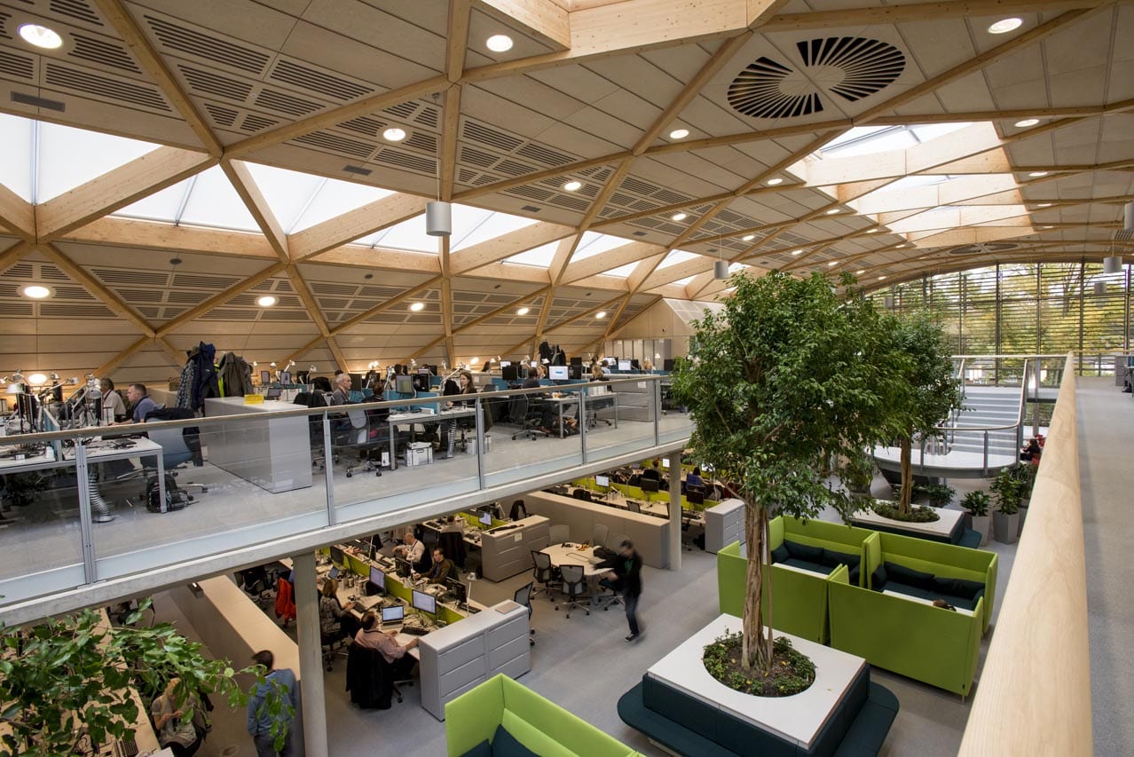 Open Plan Office with Plants